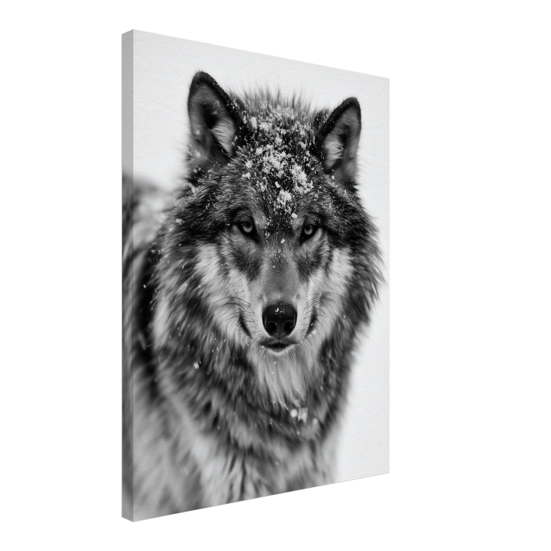 Wolf im Schneetreiben Leinwandbild – Schräge Ansicht – Produktfoto