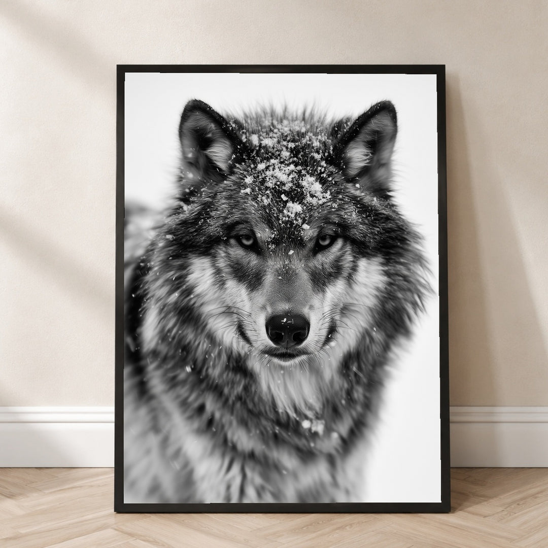 Wolf im Schneetreiben Poster – Schwarzer Rahmen – Produktfoto