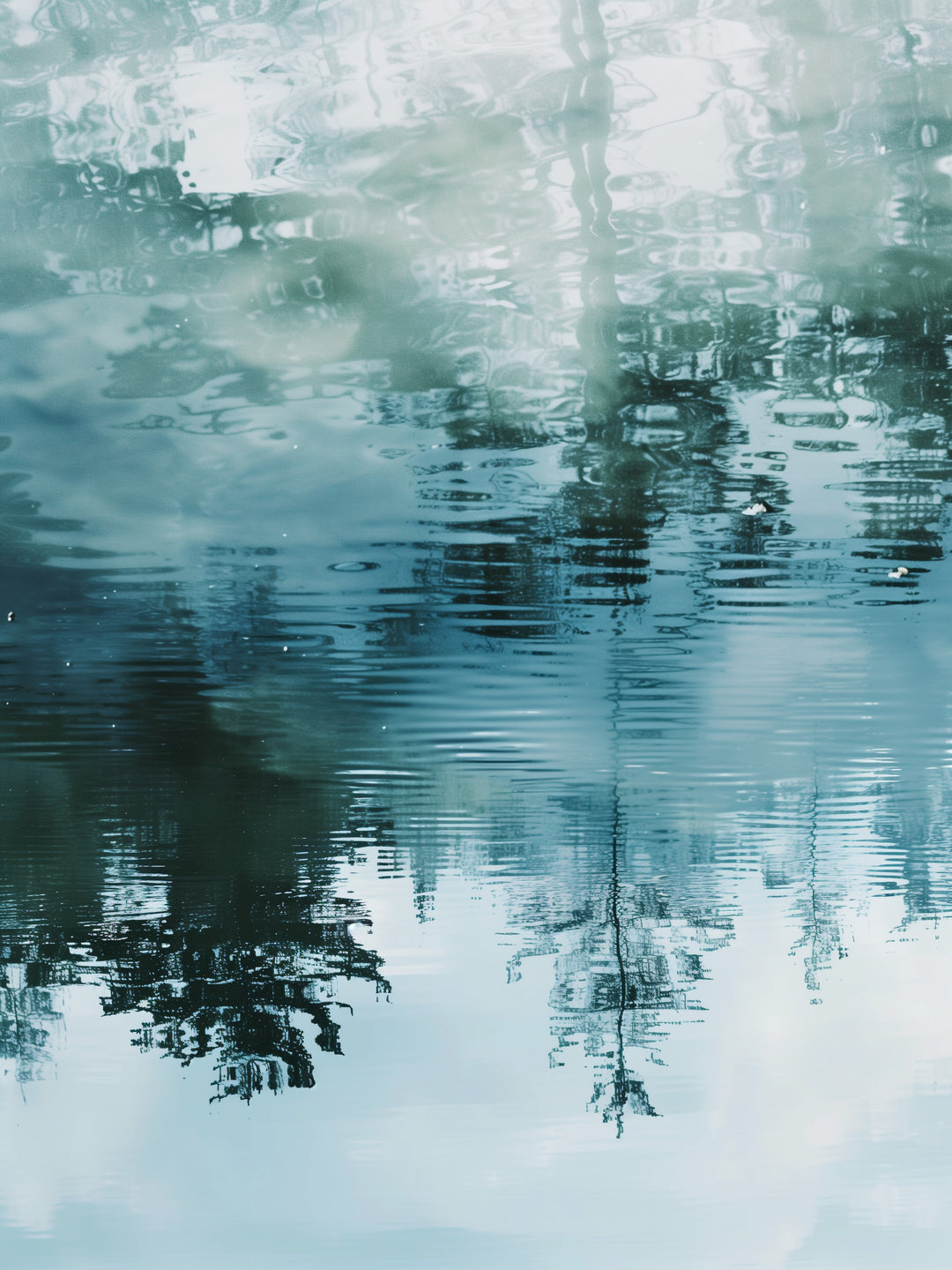 Spiegelung von Bäumen im Wasser  – Wandkunst