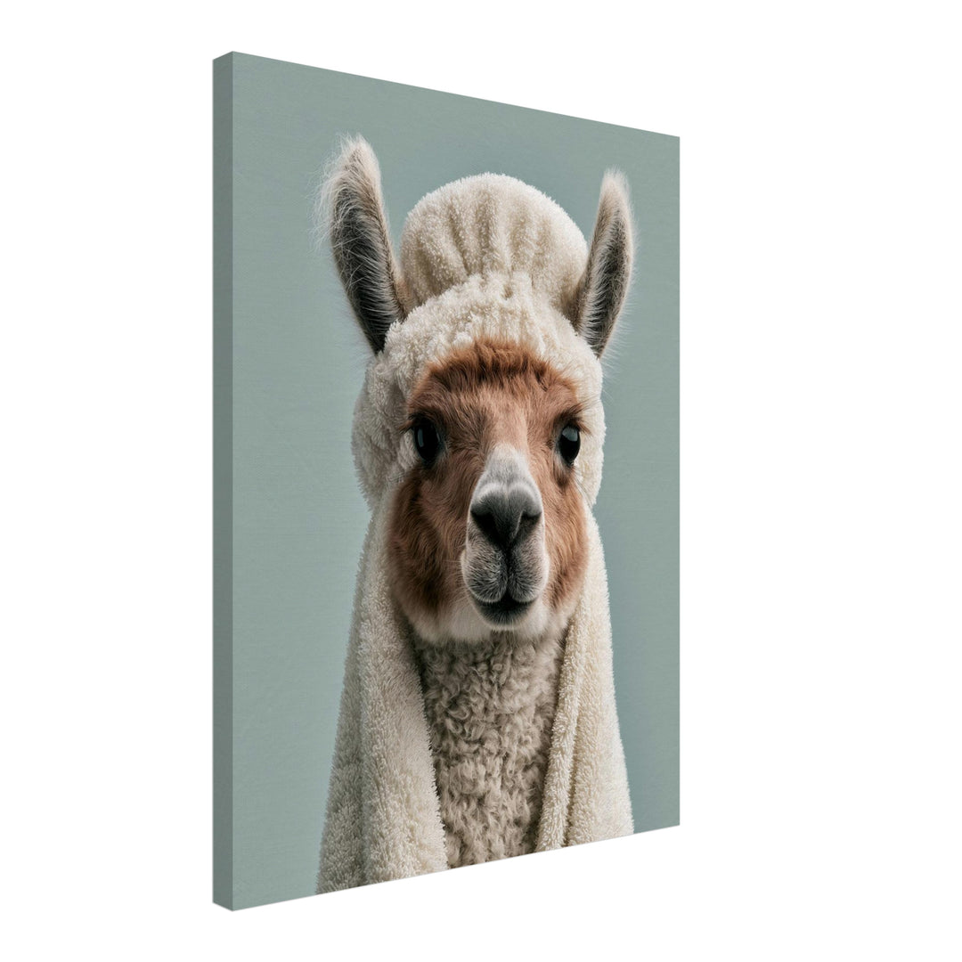 Alpaka Portrait Nahaufnahme Leinwandbild – Schräge Ansicht – Produktfoto