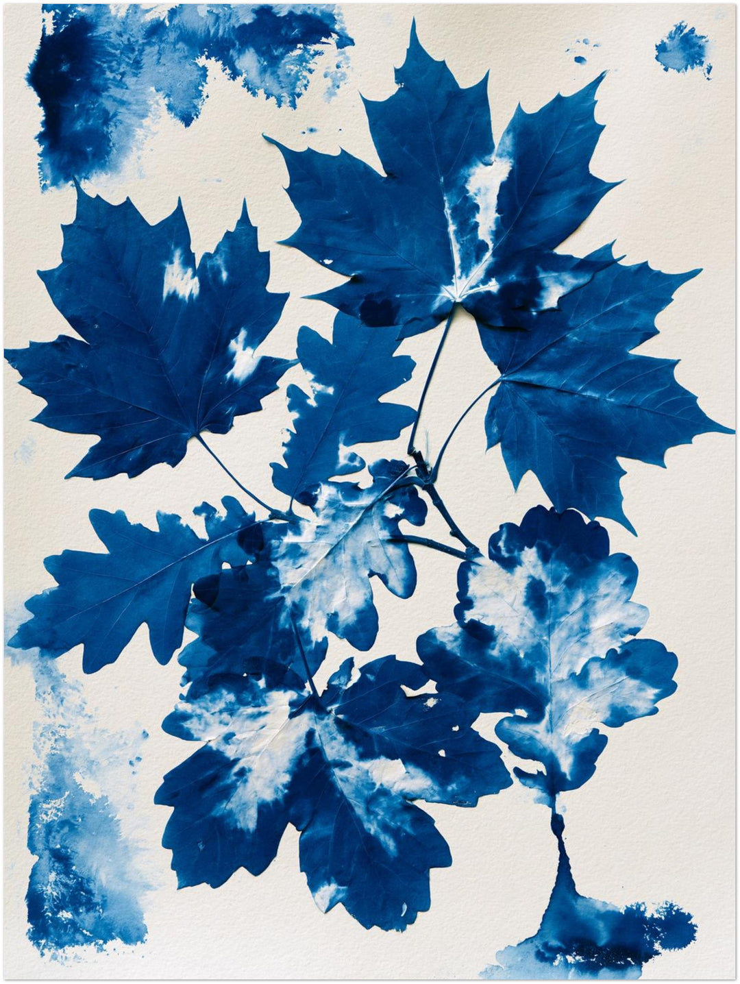 Blaue Blätter Cyanotypie Poster – Ohne Rahmen – Produktfoto