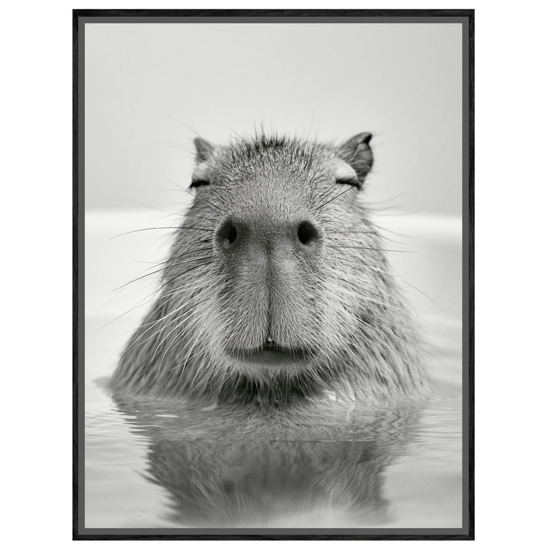 Capybara im Wasser Leinwandbild – Leinwandbild