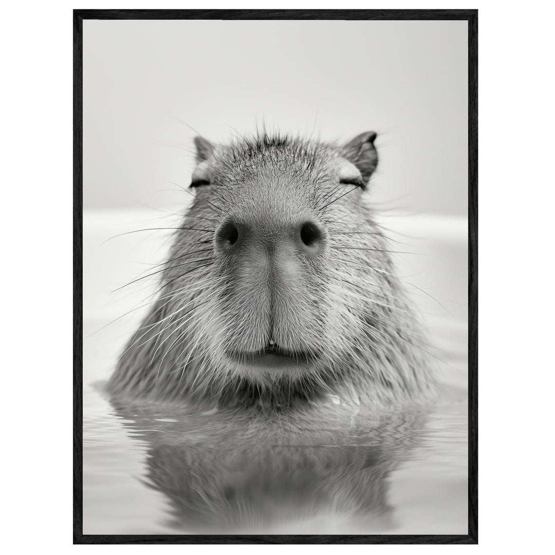 Capybara im Wasser Leinwand