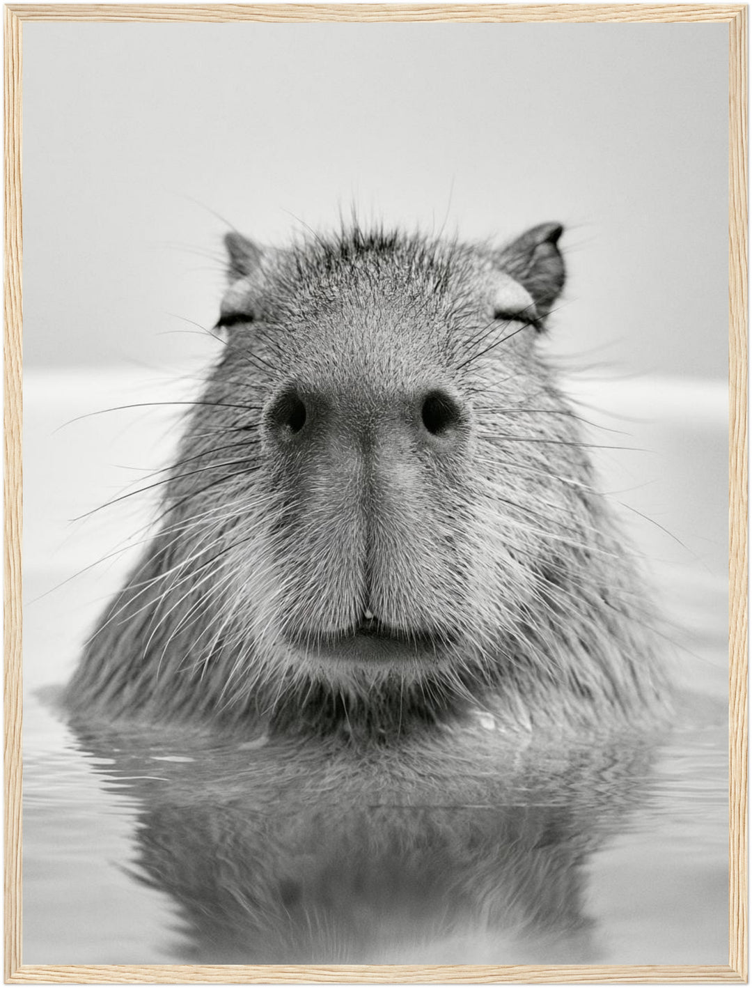 Capybara im Wasser Poster – Holz natur Rahmen – Produktfoto
