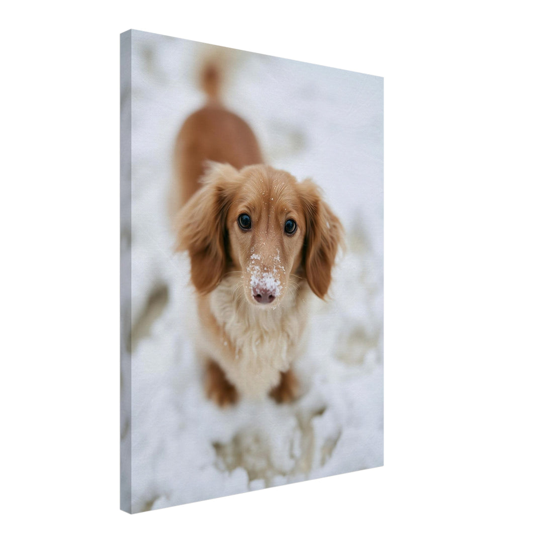 Dackel im Schnee Leinwandbild – Schräge Ansicht – Produktfoto