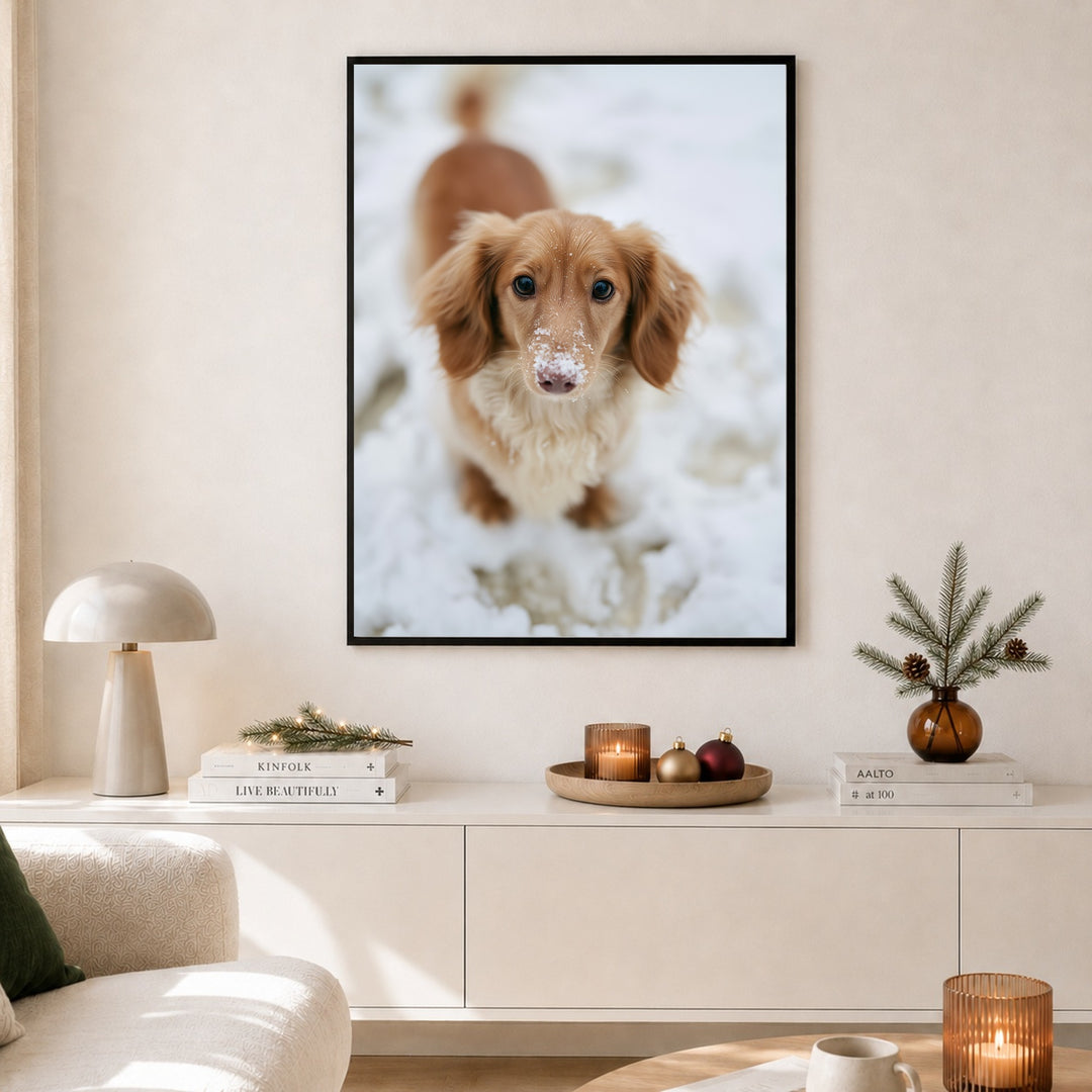 Dackel im Schnee Poster – Schwarzer Rahmen – Produktfoto