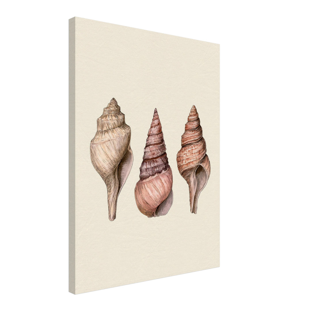 Drei Meeresschnecken Illustration Leinwandbild – Schräge Ansicht – Produktfoto