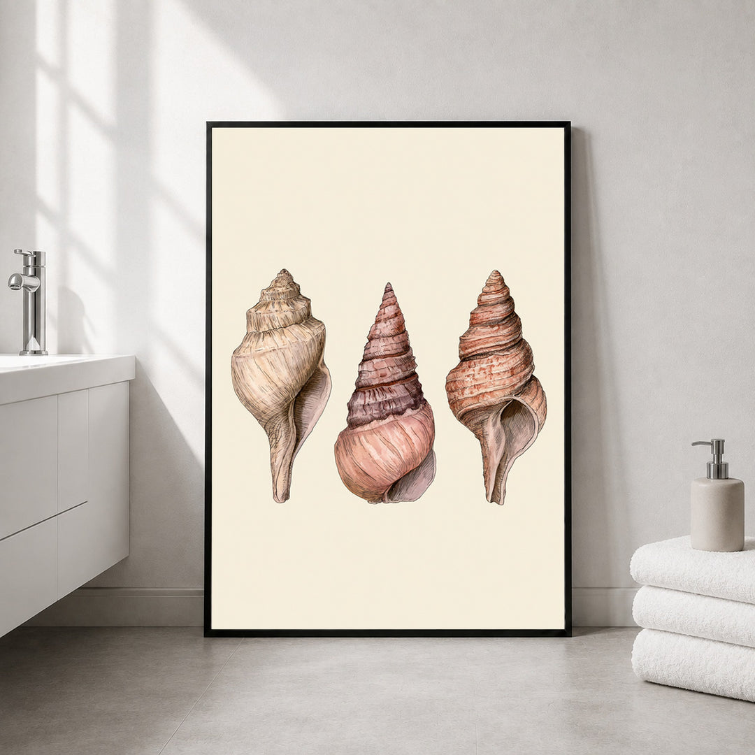 Drei Meeresschnecken Illustration Poster – Schwarzer Rahmen – Produktfoto