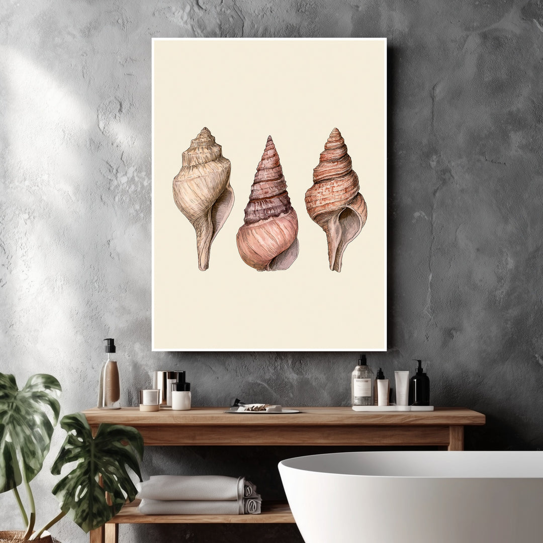 Drei Meeresschnecken Illustration Poster – Weißer Rahmen – Produktfoto