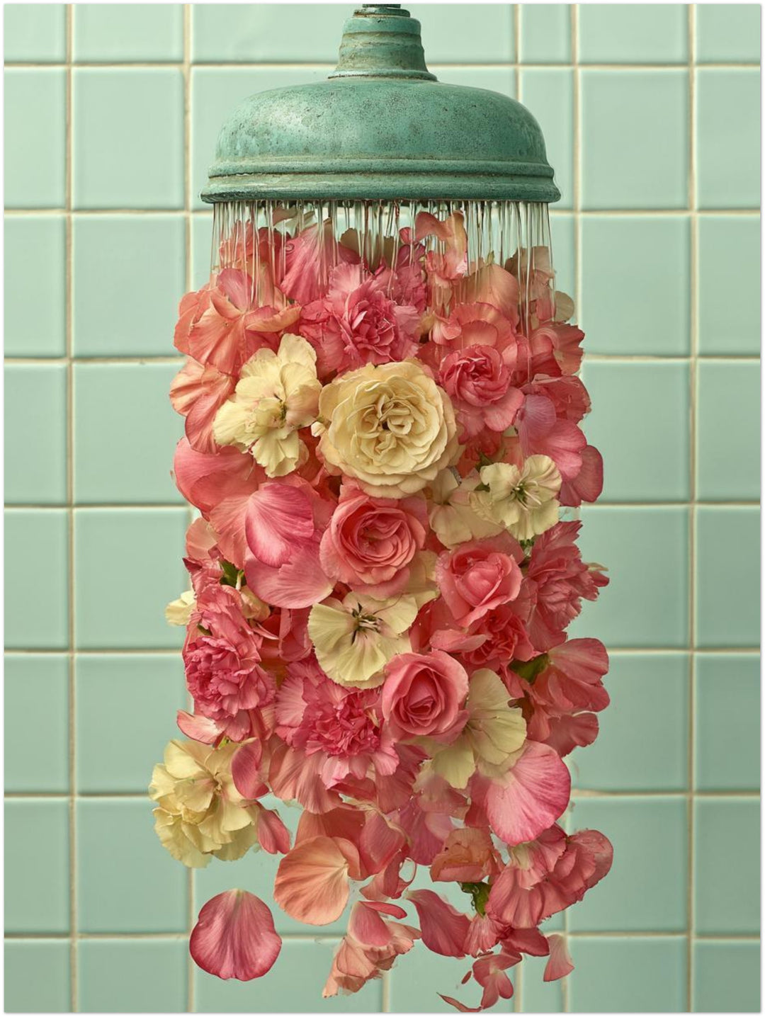Duschkopf mit Rosen Leinwandbild – Ohne Rahmen – Produktfoto