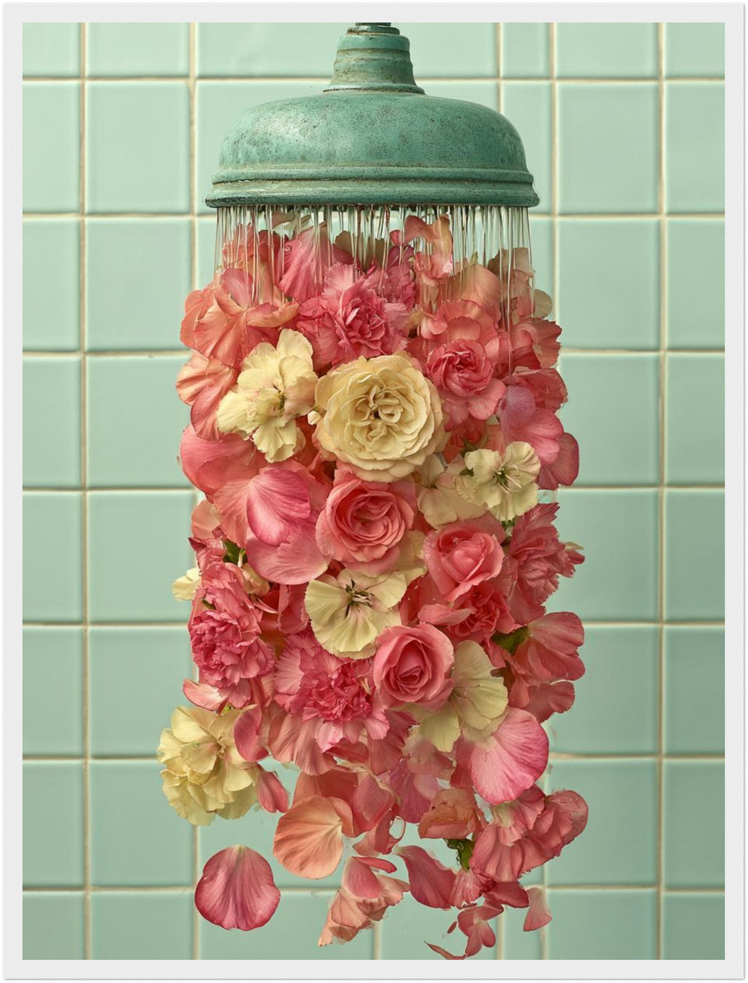 Duschkopf mit Rosen Poster – Weißer Rahmen – Produktfoto
