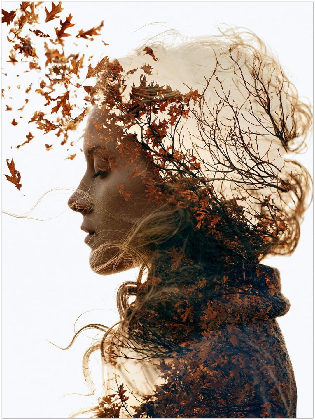 Herbststurm im Porträt Poster – Ohne Rahmen – Produktfoto
