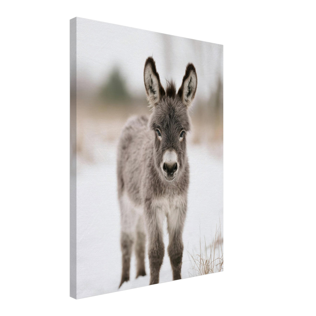 Kleiner Esel im Schnee Leinwandbild – Schräge Ansicht – Produktfoto