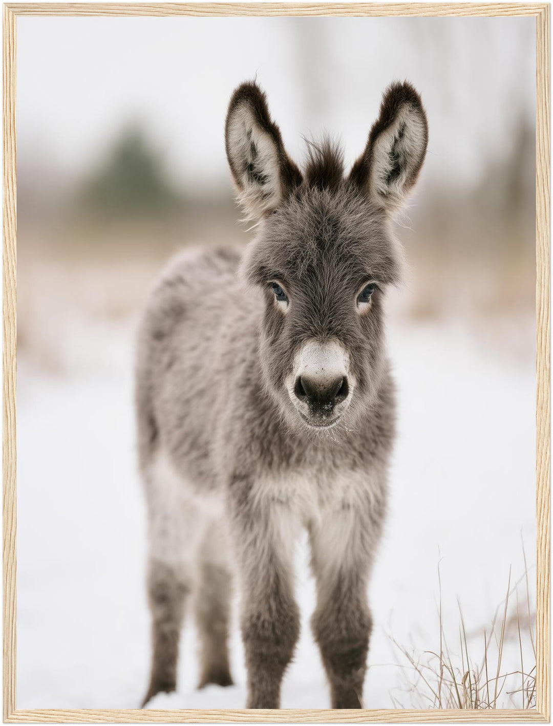 Kleiner Esel im Schnee Poster – Holz natur Rahmen – Produktfoto