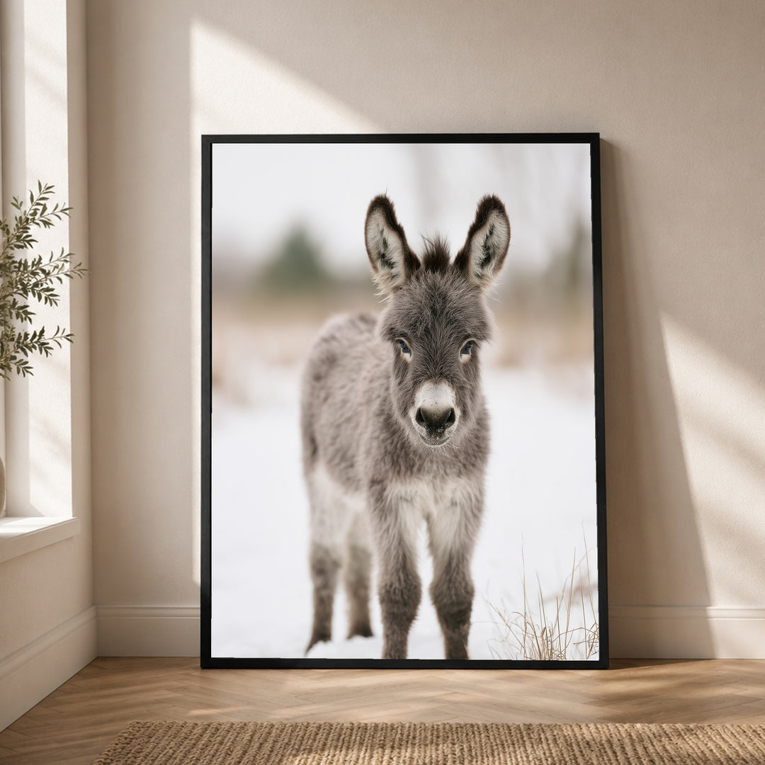 Kleiner Esel im Schnee Poster – Schwarzer Rahmen – Produktfoto