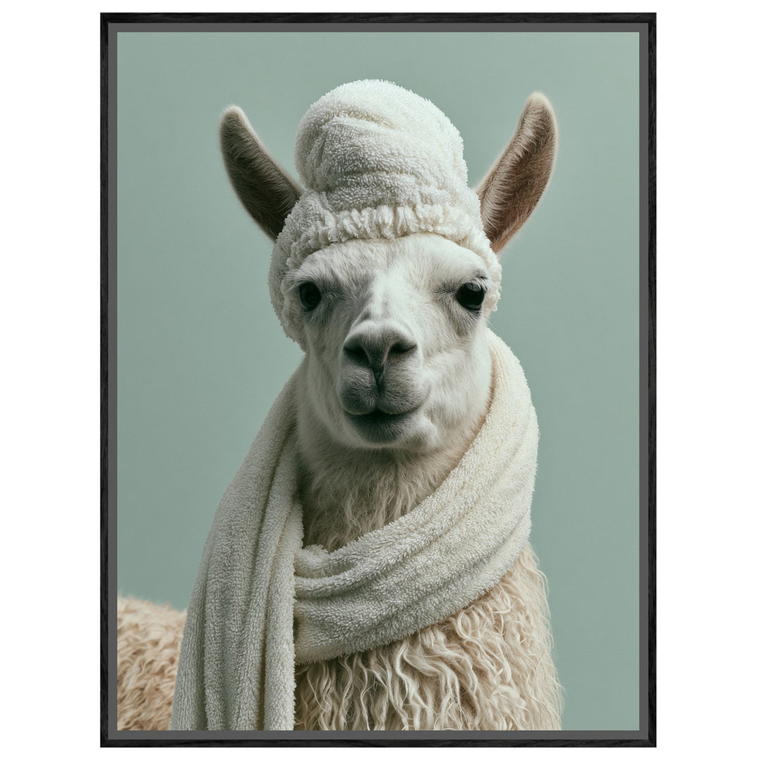 Lama mit Wintermütze Leinwandbild – Leinwandbild