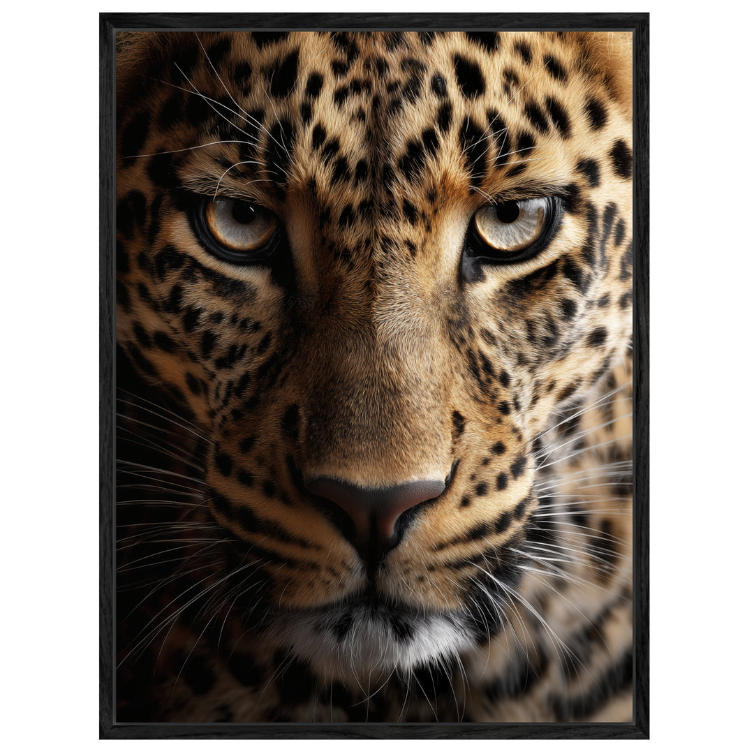 Leopard im Fokus Leinwandbild – Leinwandbild