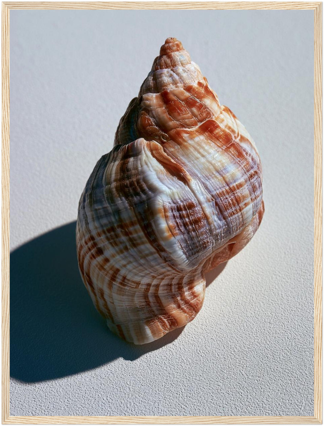 Meeresschnecke Nahaufnahme Poster – Holz natur Rahmen – Produktfoto