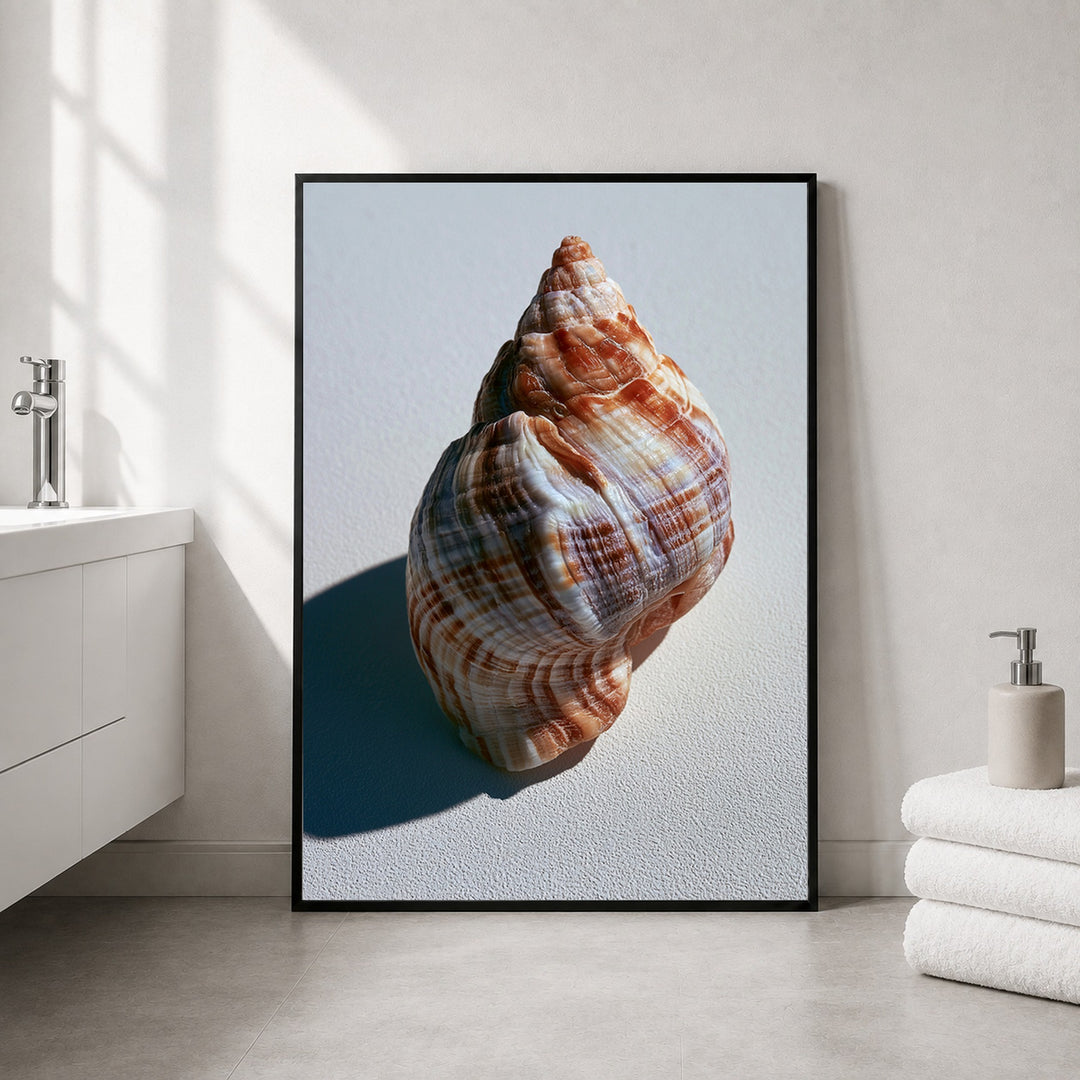 Meeresschnecke Nahaufnahme Poster – Schwarzer Rahmen – Produktfoto
