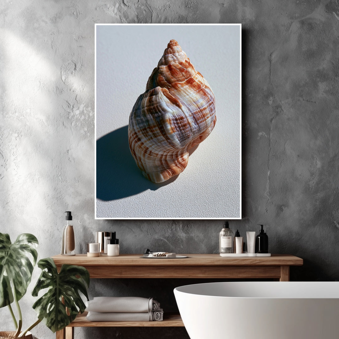 Meeresschnecke Nahaufnahme Poster – Weißer Rahmen – Produktfoto