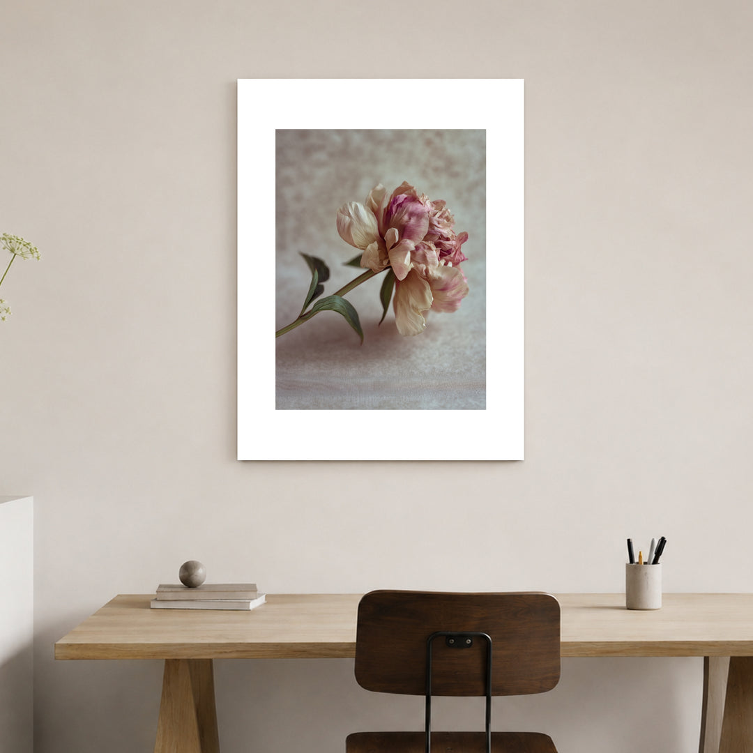 Pfingstrose Stillleben Poster Trends – mattes Kunstdruck-Papier – Ansicht 3