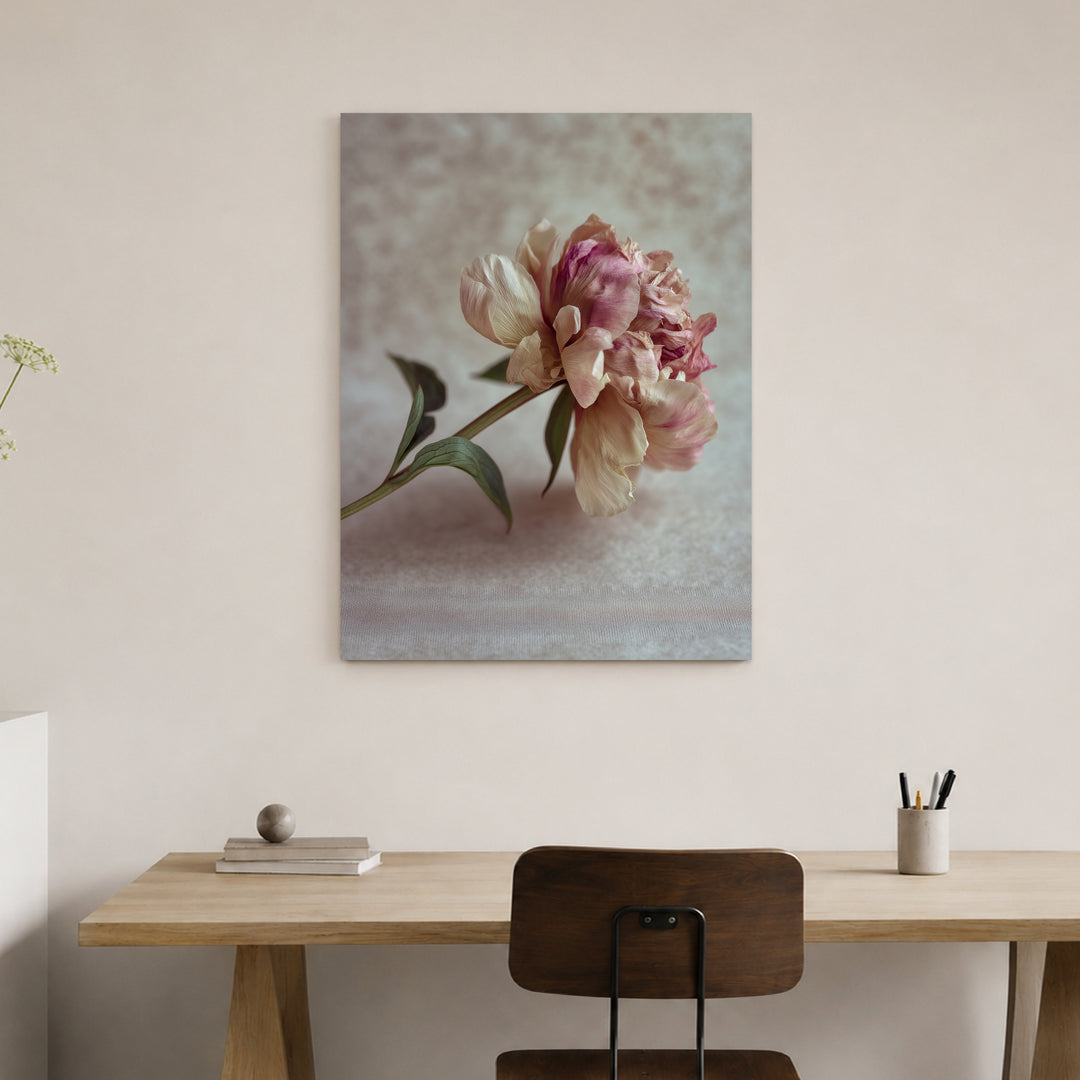 Pfingstrose Stillleben Leinwand Trends – Leinwand auf Holzrahmen – Ansicht 4
