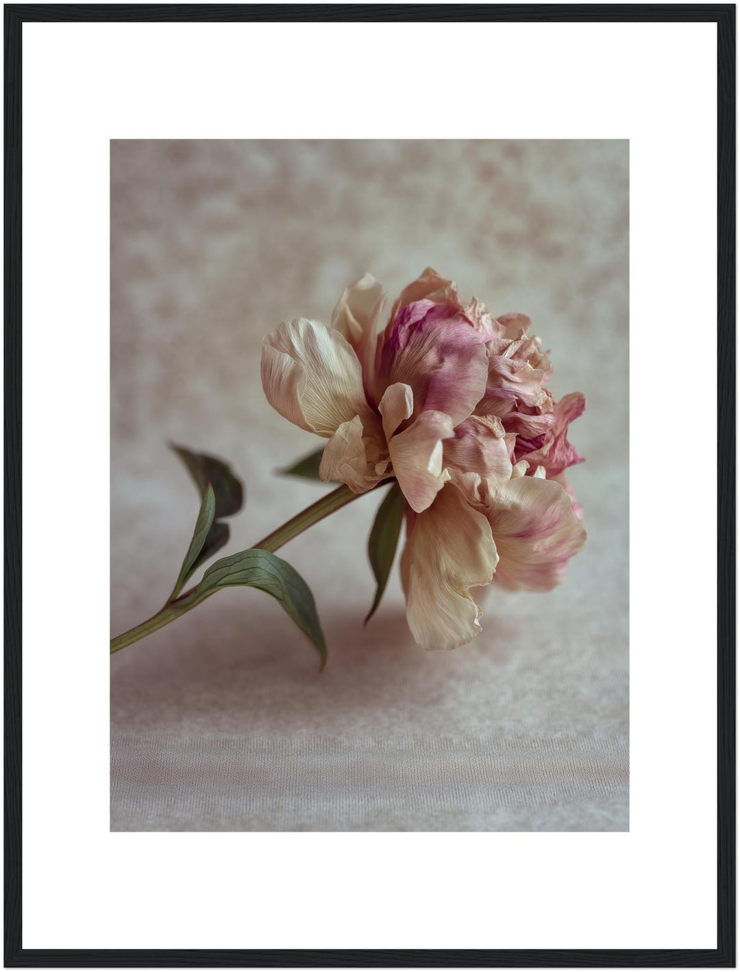 Pfingstrose Stillleben Poster Trends – mattes Kunstdruck-Papier – Ansicht 5