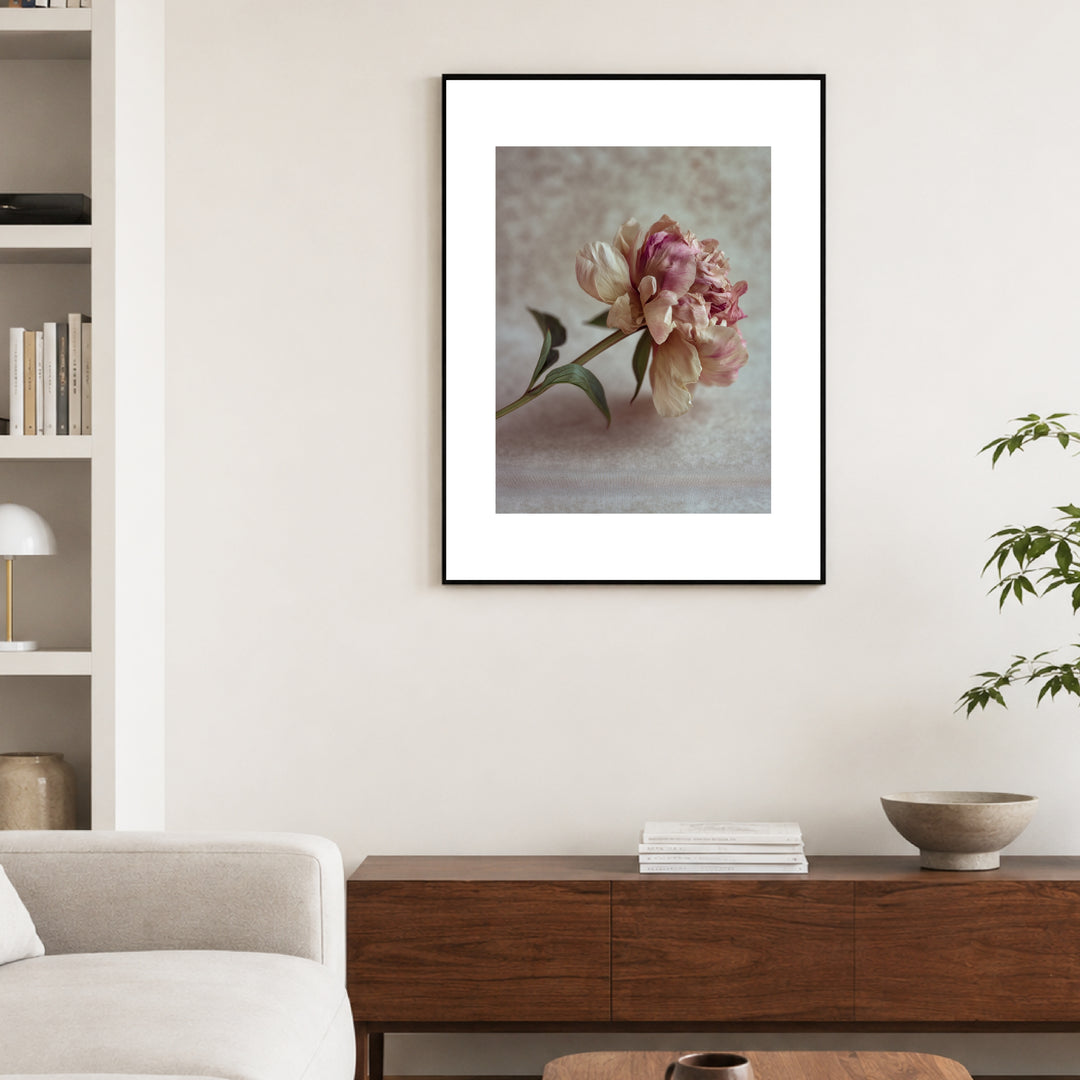 Pfingstrose Stillleben Poster Trends – mattes Kunstdruck-Papier – Ansicht 2