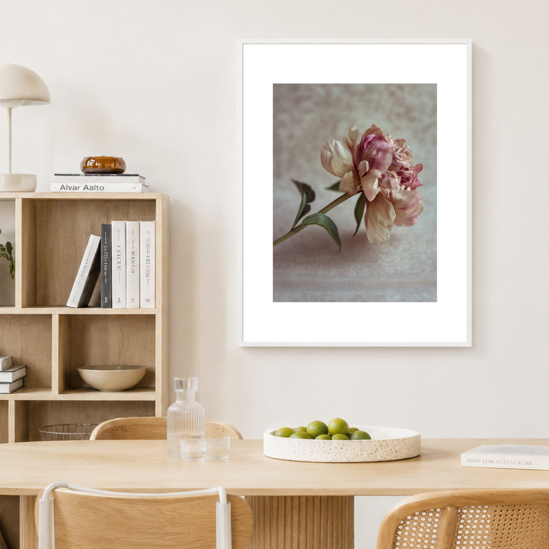 Pfingstrose Stillleben Poster Trends – mattes Kunstdruck-Papier – Ansicht 4