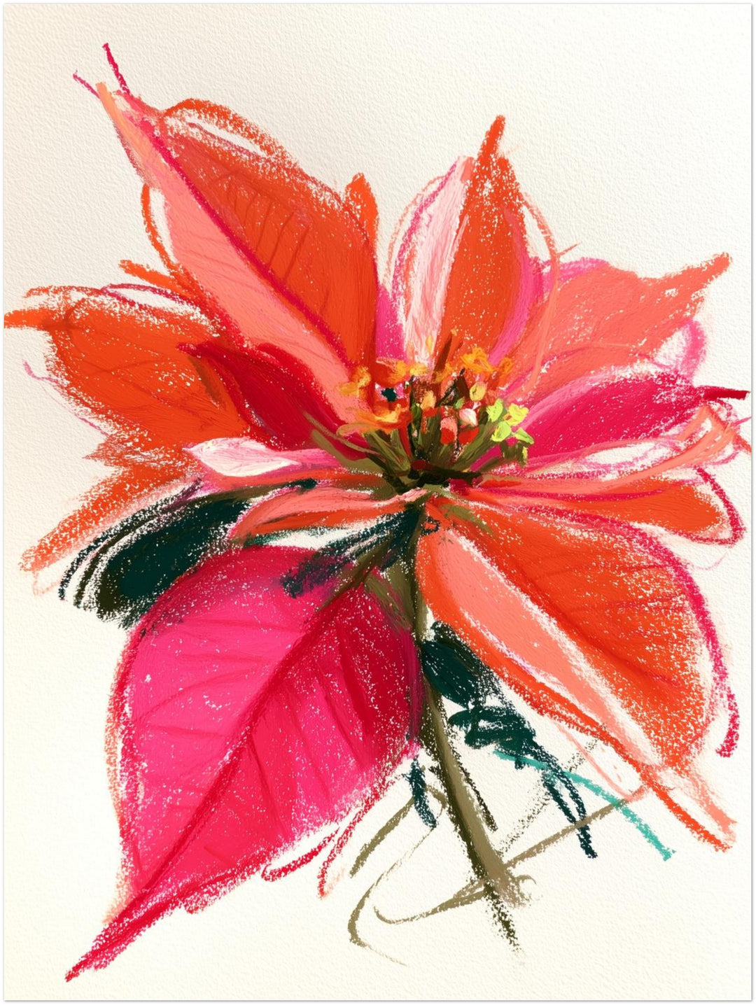 Wilde Poinsettia in rot Leinwandbild – Ohne Rahmen – Produktfoto