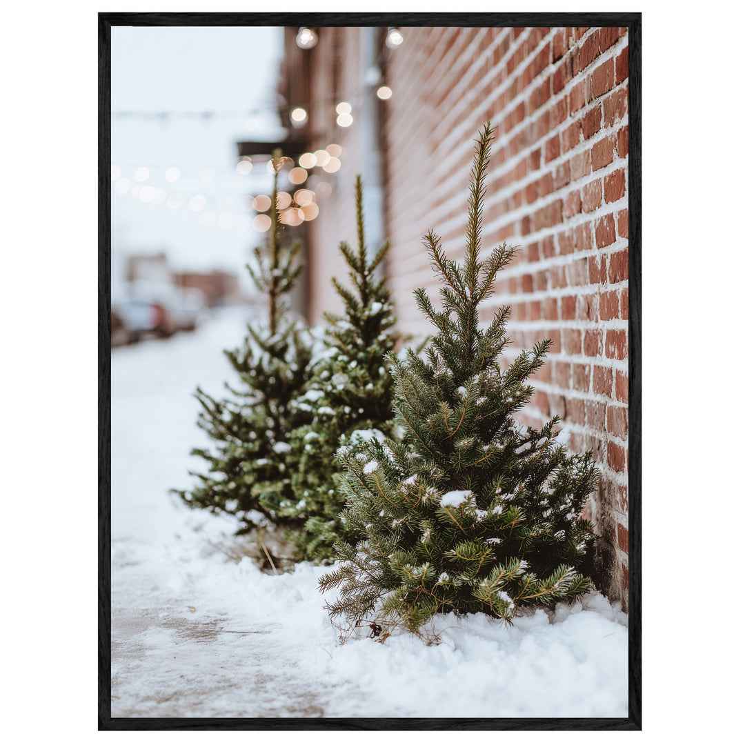 Winterliche Tannen im Schnee Leinwandbild – Leinwandbild