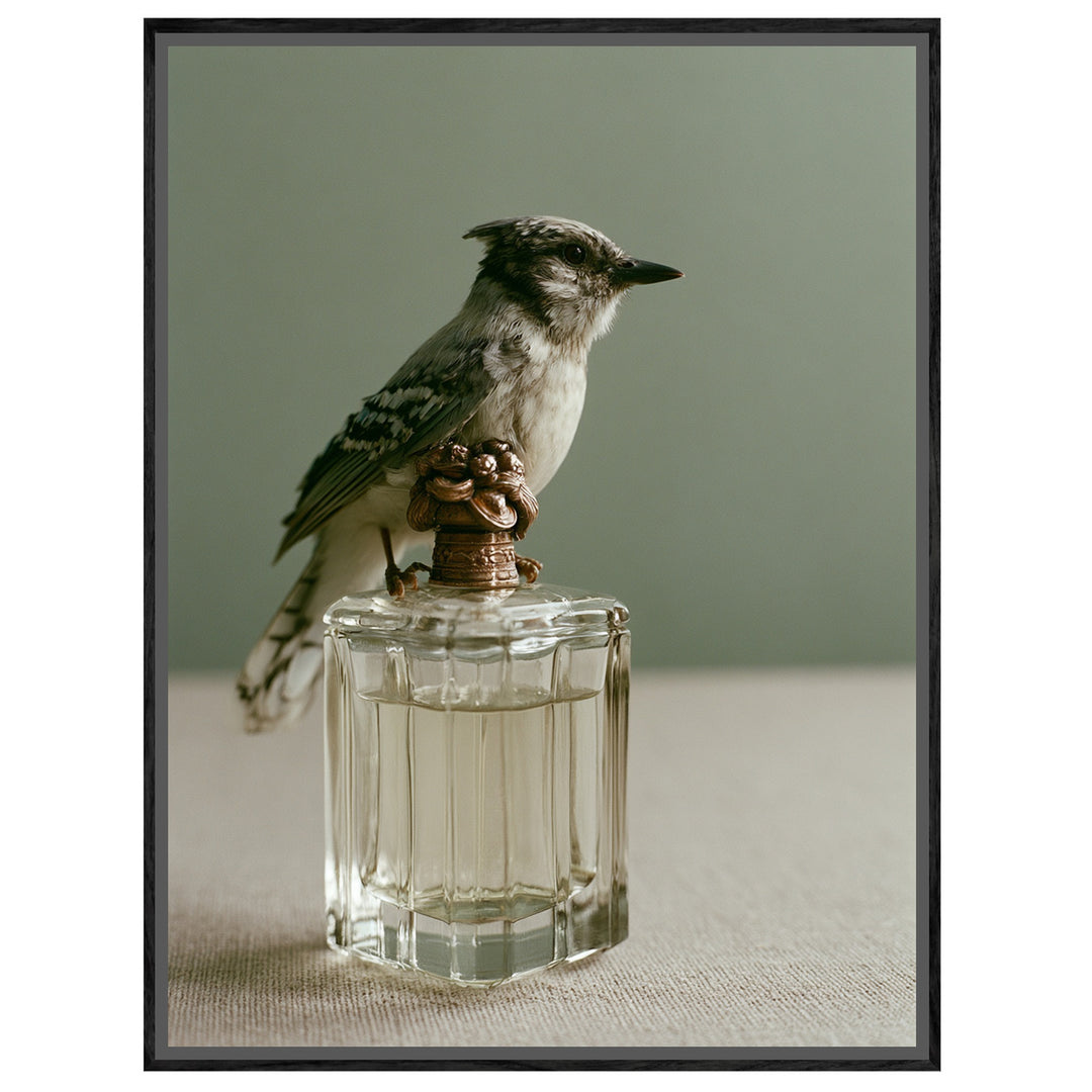 Vogel auf Parfumflasche Leinwandbild – Leinwandbild