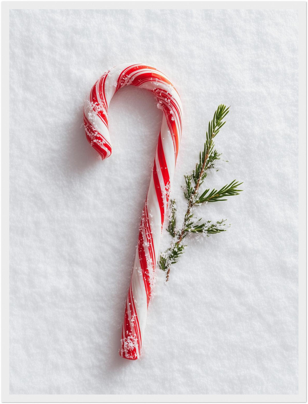 Zuckerstange im Schnee Poster – Weißer Rahmen – Produktfoto