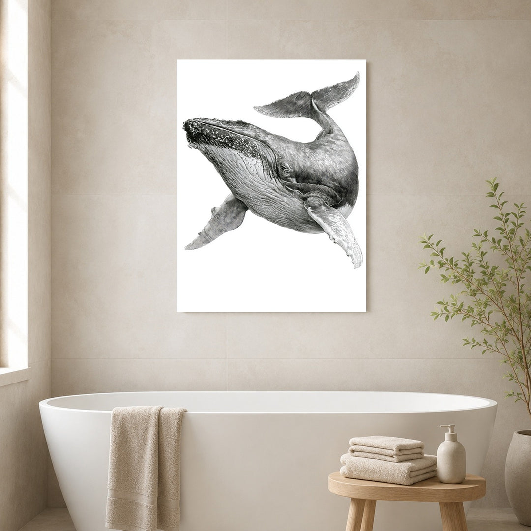 Buckelwal Illustration Leinwandbild – Ohne Rahmen – Produktfoto