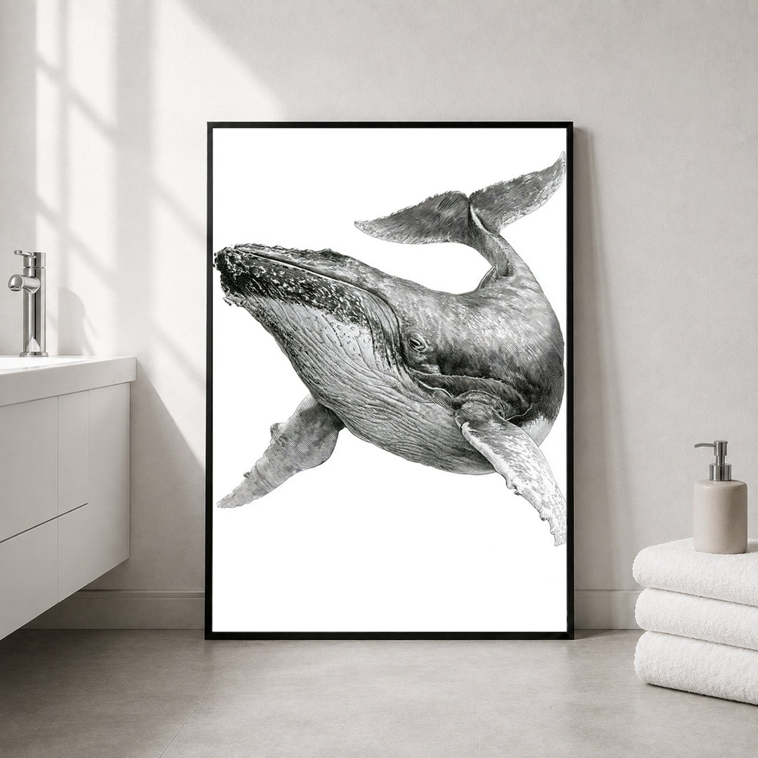 Buckelwal Illustration Poster – Schwarzer Rahmen – Produktfoto
