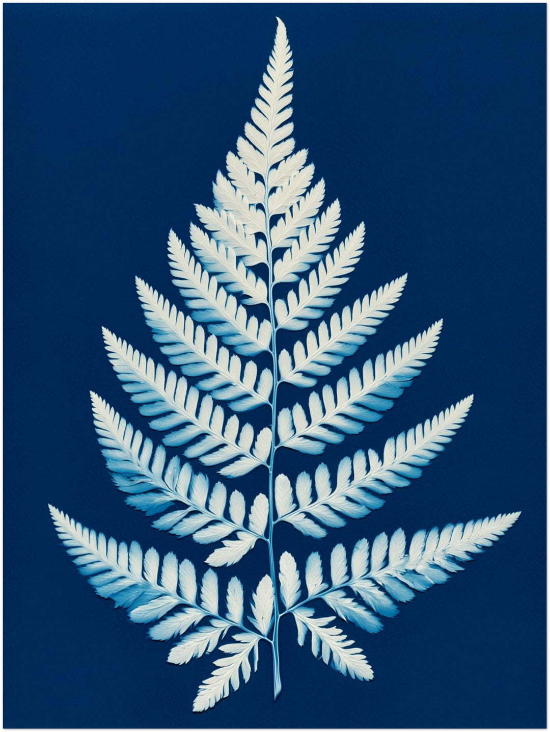 Farn Cyanotypie blau Poster – Ohne Rahmen – Produktfoto