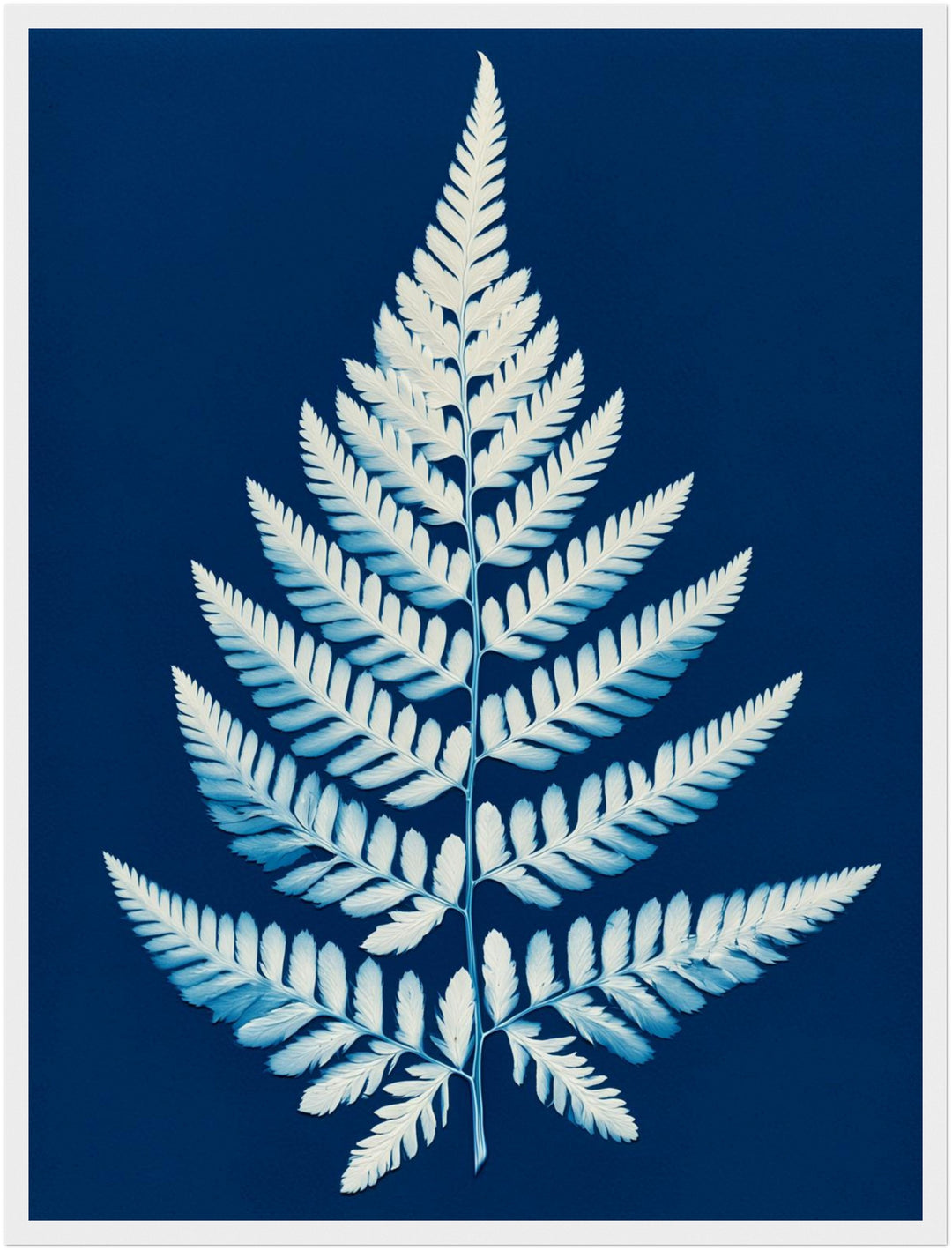 Farn Cyanotypie blau Poster – Weißer Rahmen – Produktfoto