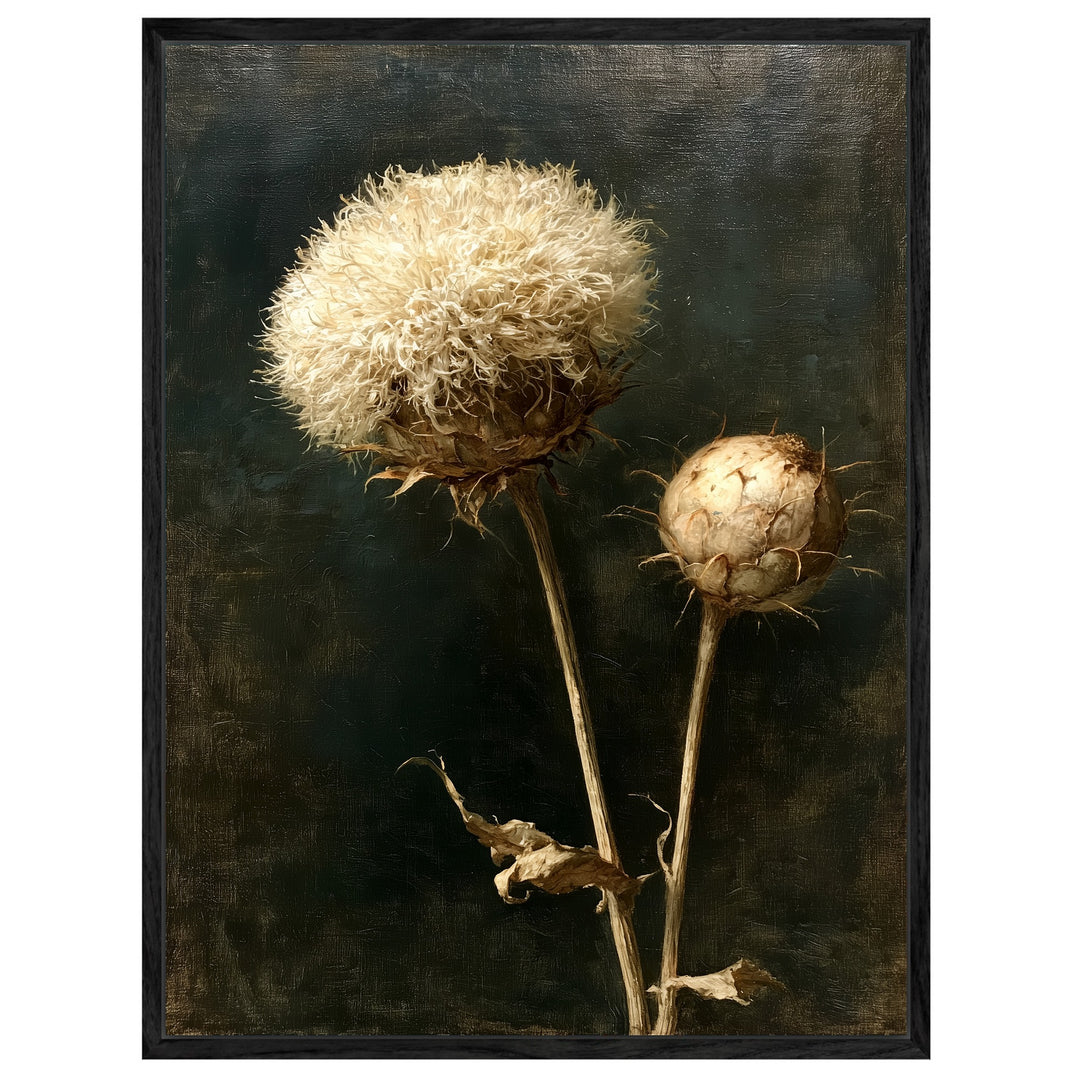 Verwelkte Distel im Dunkel Leinwandbild – Leinwandbild