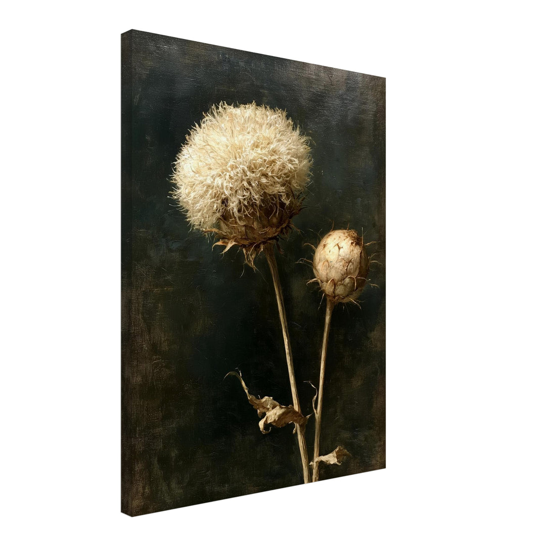 Verwelkte Distel im Dunkel Leinwandbild – Schräge Ansicht – Produktfoto