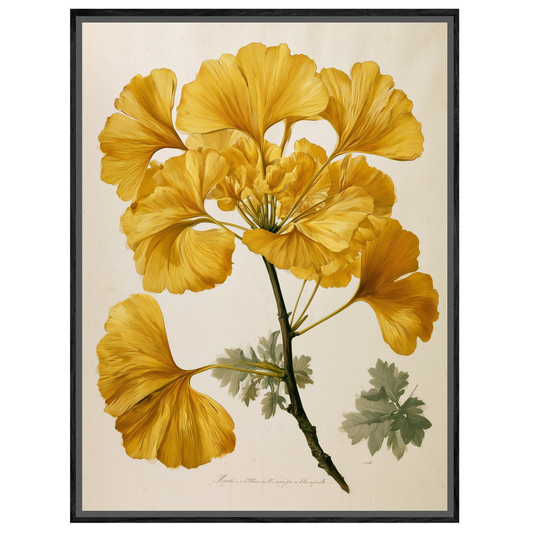 Goldene Ginkgo Botanik Leinwandbild – Leinwandbild