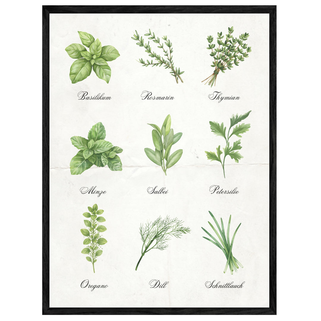 Kräuter Illustration Set Leinwandbild abstrakt – Leinwand auf Holzrahmen – Ansicht 4