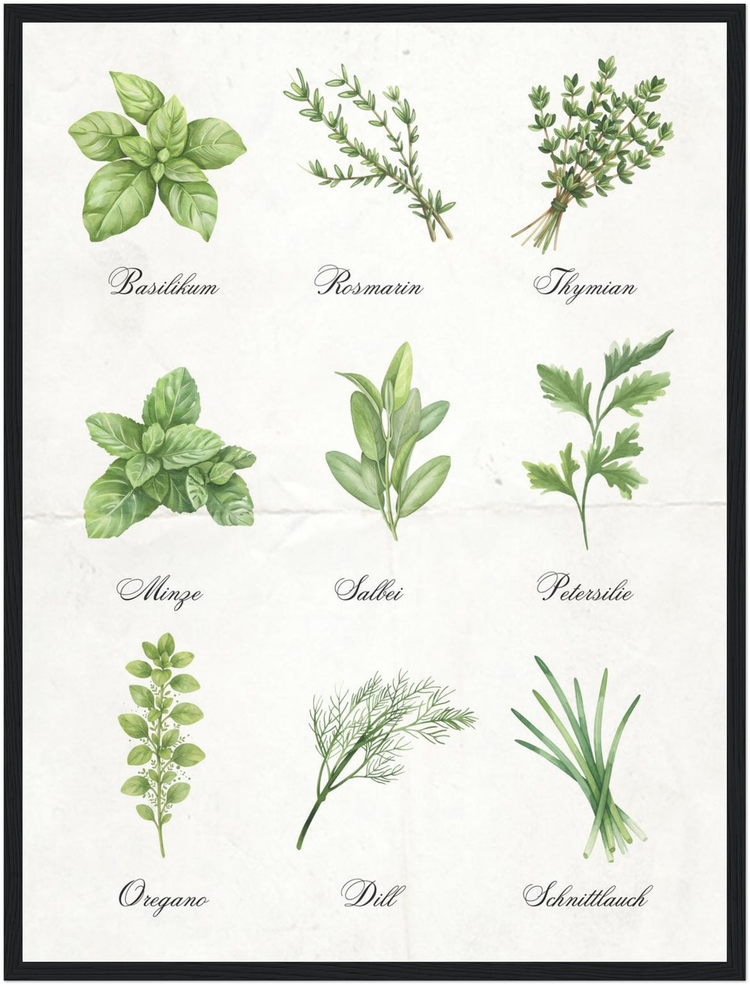 Kräuter Illustration Set Poster abstrakt – mattes Kunstdruck-Papier – Ansicht 6