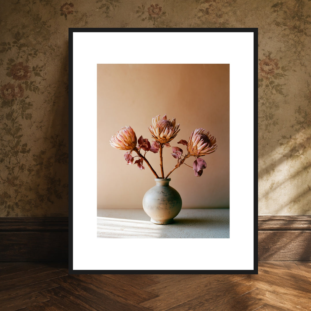 Drei Proteas in Terrakotta