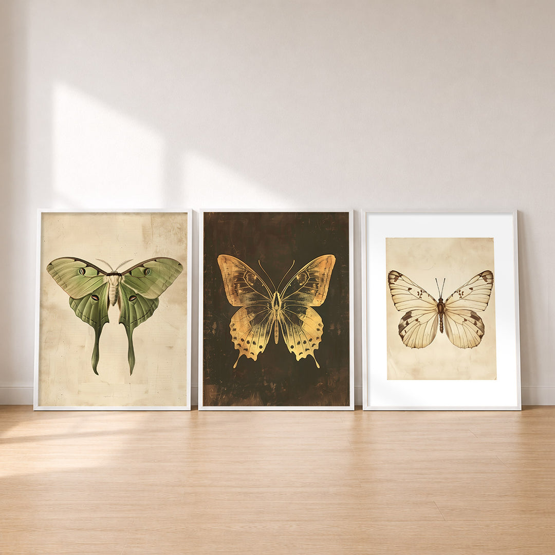 Set-Ansicht: Vintage Schmetterling Poster Set (3er)