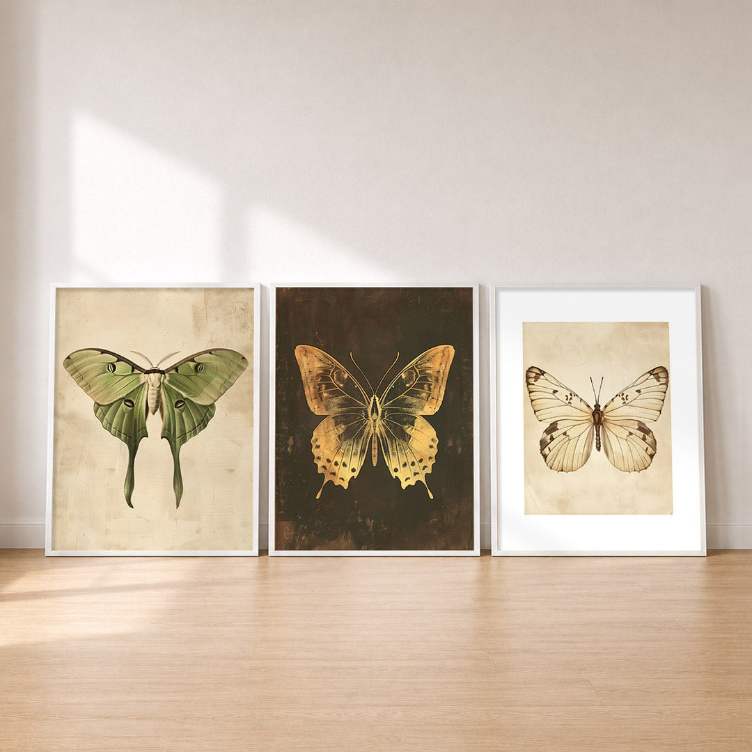 Set-Ansicht: Vintage Schmetterling Poster Set (3er)