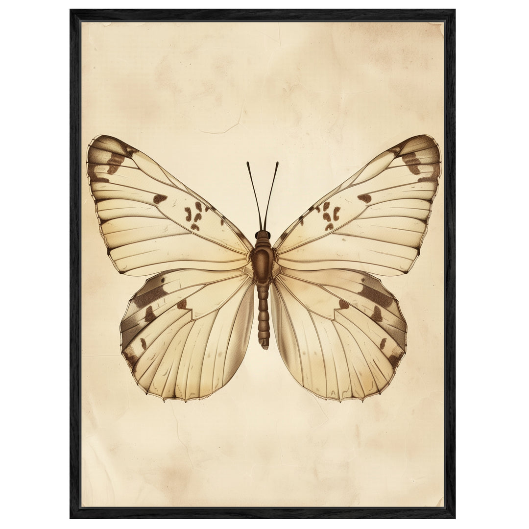 Schmetterling Leinwandbild Vintage – Leinwand auf Holzrahmen – Ansicht 4
