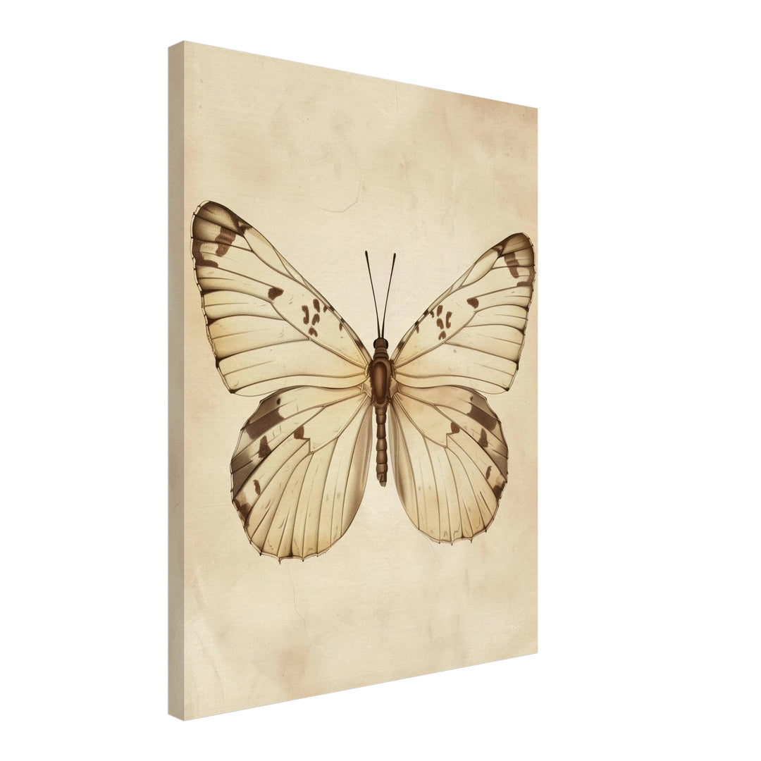 Schmetterling Leinwandbild Vintage – Leinwand auf Holzrahmen – Ansicht 2