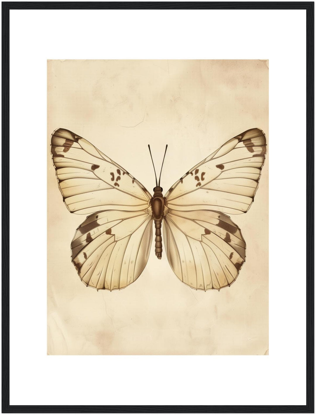 Schmetterling Poster Vintage – mattes Kunstdruck-Papier – Ansicht 5