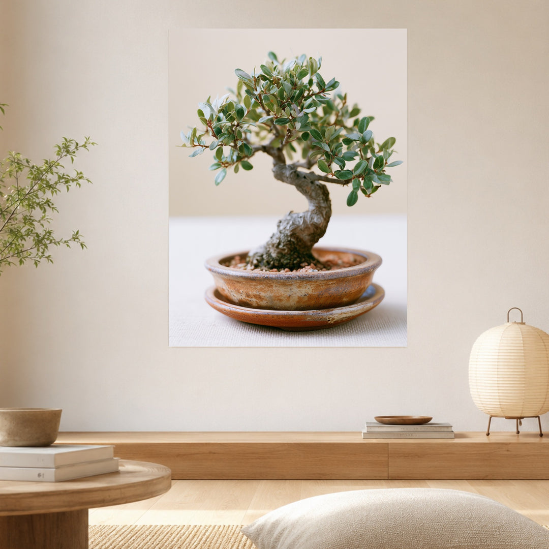 Alter Bonsai im Gleichgewicht Poster – Ohne Rahmen – Produktfoto
