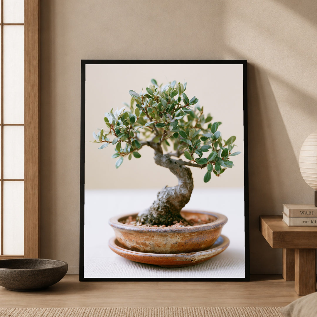 Alter Bonsai im Gleichgewicht Poster – Schwarzer Rahmen – Produktfoto